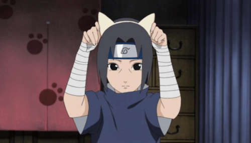 Itachi cat