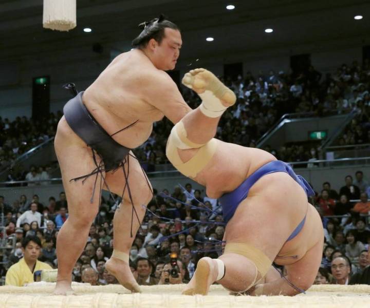 sp-sumo-a-20160322-870x725