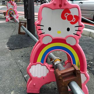 12558813_1238701226143550_356124155_n