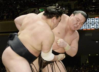 sp-sumo-a-20160522-870x632