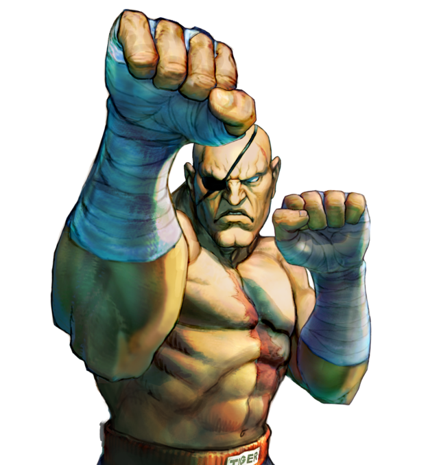 Sagat