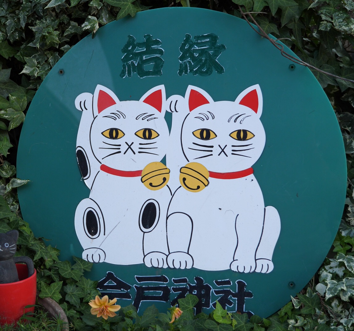 Maneki Neko shrine pic.jpg