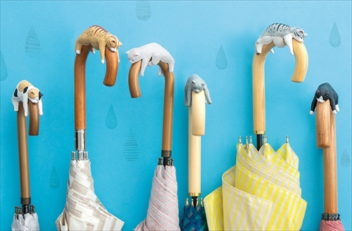 Sleeping cat umbrella.jpg